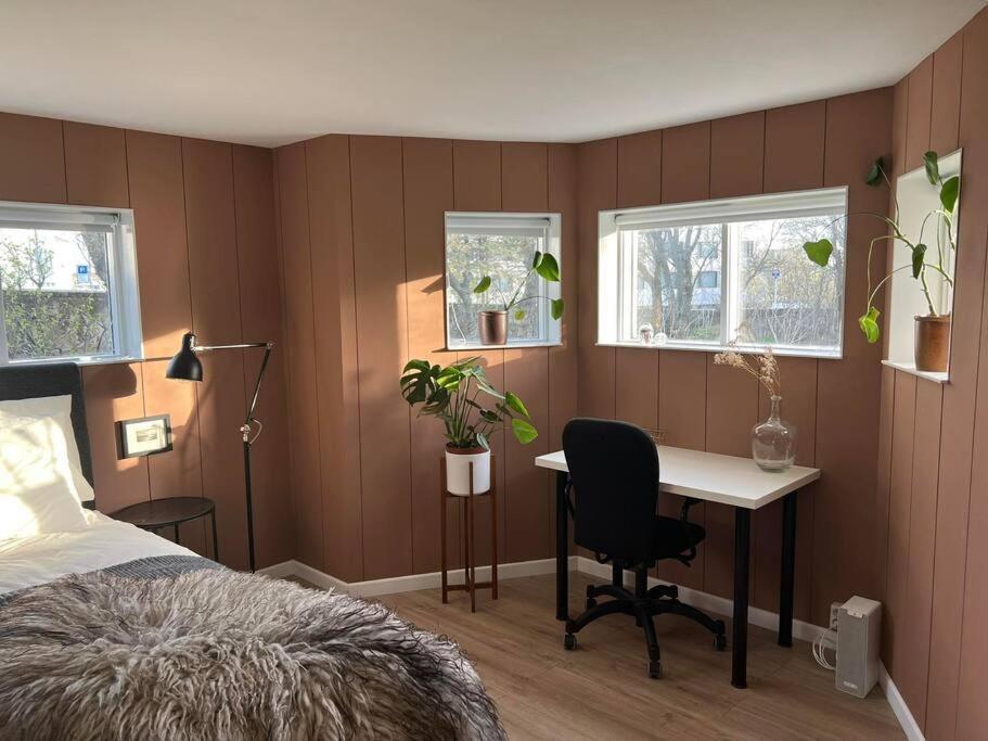 New cozy bohemian dowtown Reykjavík apartment Exterior foto